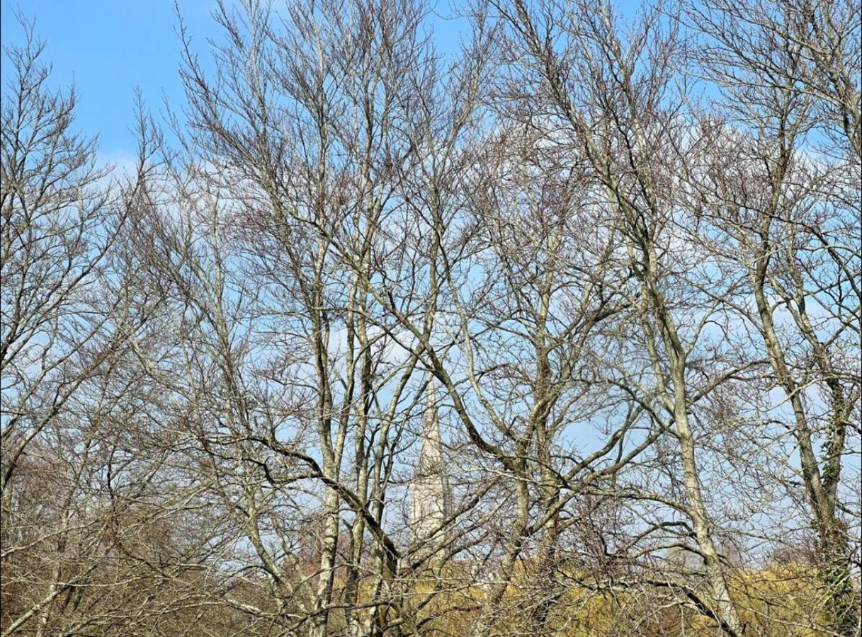 Close To Salisbury Cathedral Экстерьер фото